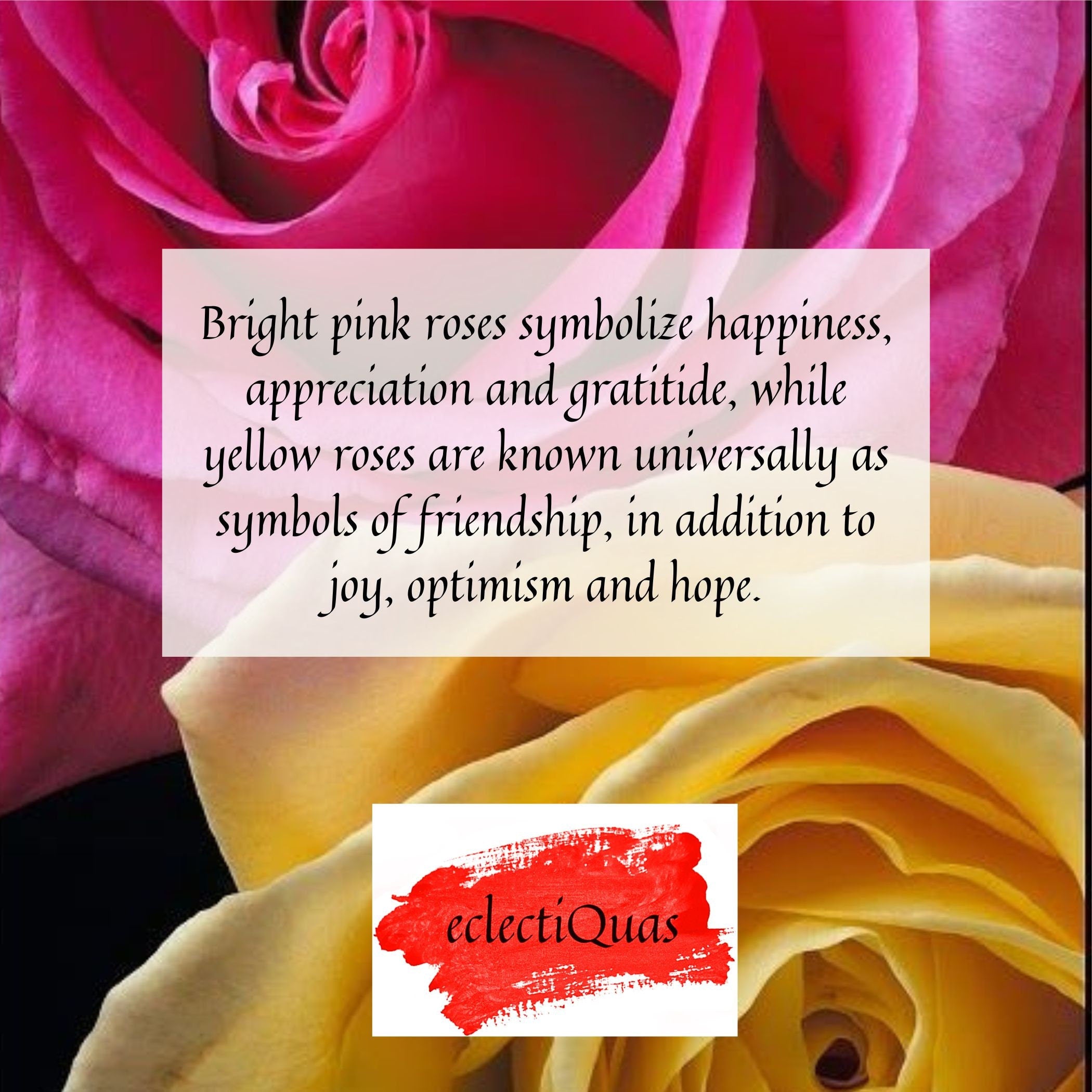 Photo of dark pink and yellow roses, and text that reads: Bright pink roses symbolize happiness, appreciation and gratitude, while yellow roses are known universally as symbols of friendship, in addition to joy, optimism and hope.