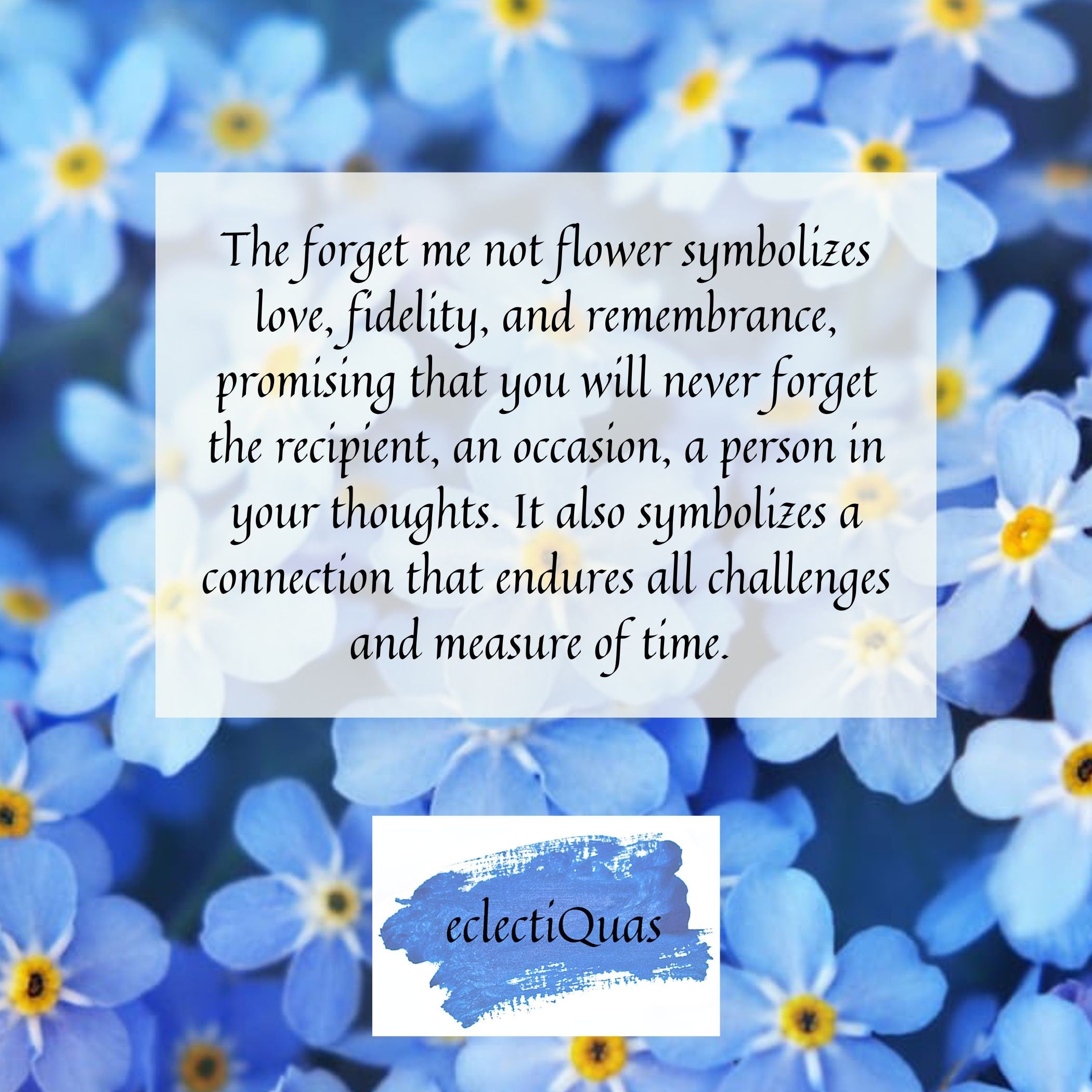 Photo of forget me not flowers, and text that reads: The forget me not flower symbolizes love, fidelity, and remembrance, promising that you will never forget the recipient, an occasion, a person in your thoughts. It also symbolizes a connection that endures all challenges and measure of time.