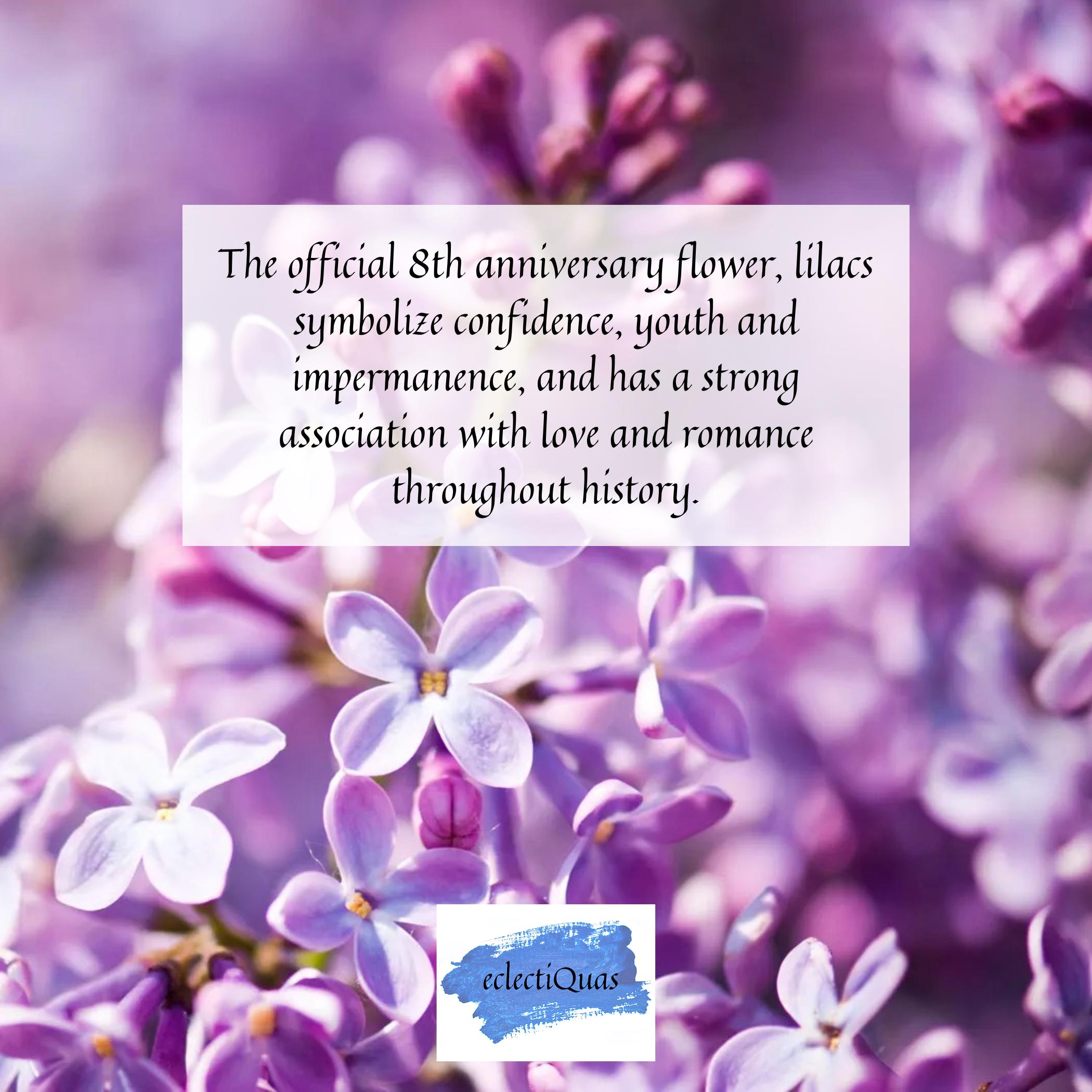 Photo of purple lilacs, and text that reads: The official 8th anniversary flower, lilacs symbolize confidence, youth and impermanence, and has a strong association with love and romance throughout history.