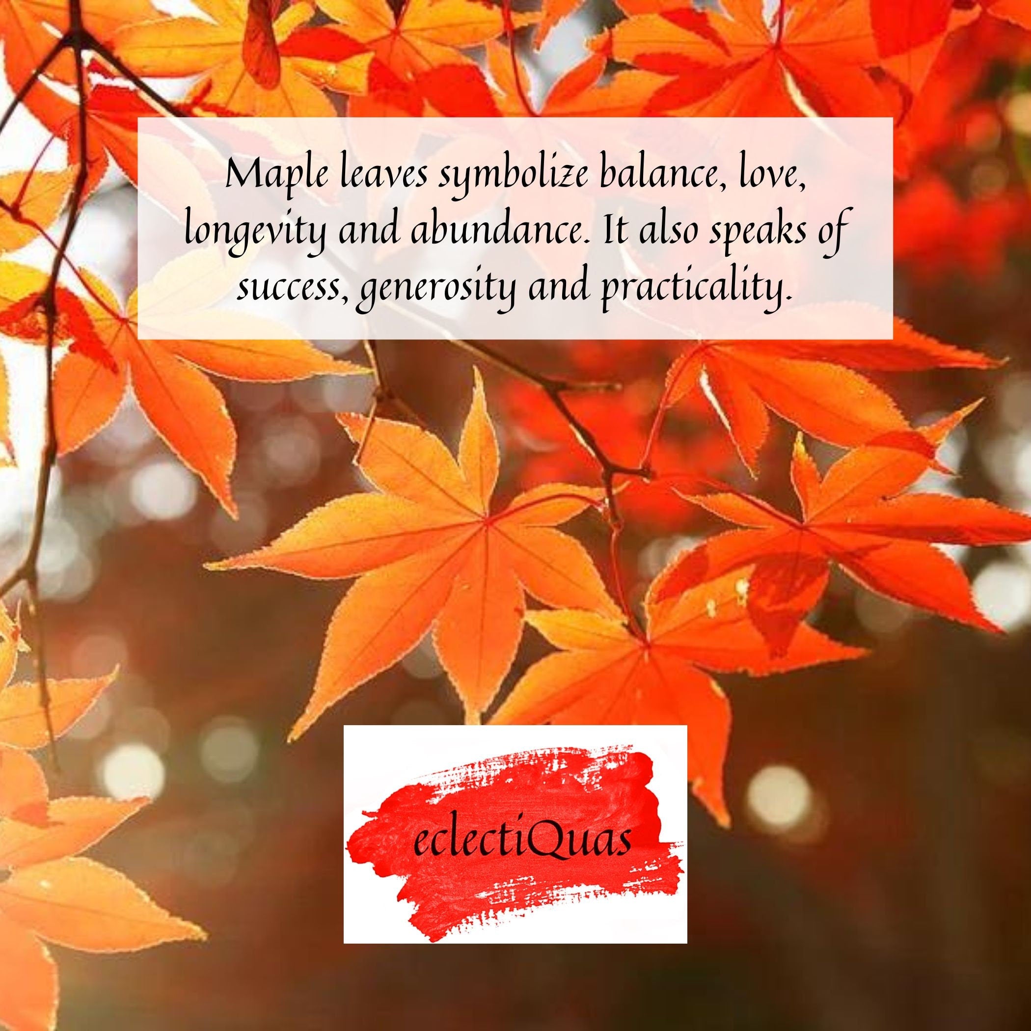 Photo of Fall Maple Leaves, and text that reads: Maple leaves symbolize balance, love, longevity and abundance. It also speaks of success, generosity and practicality.