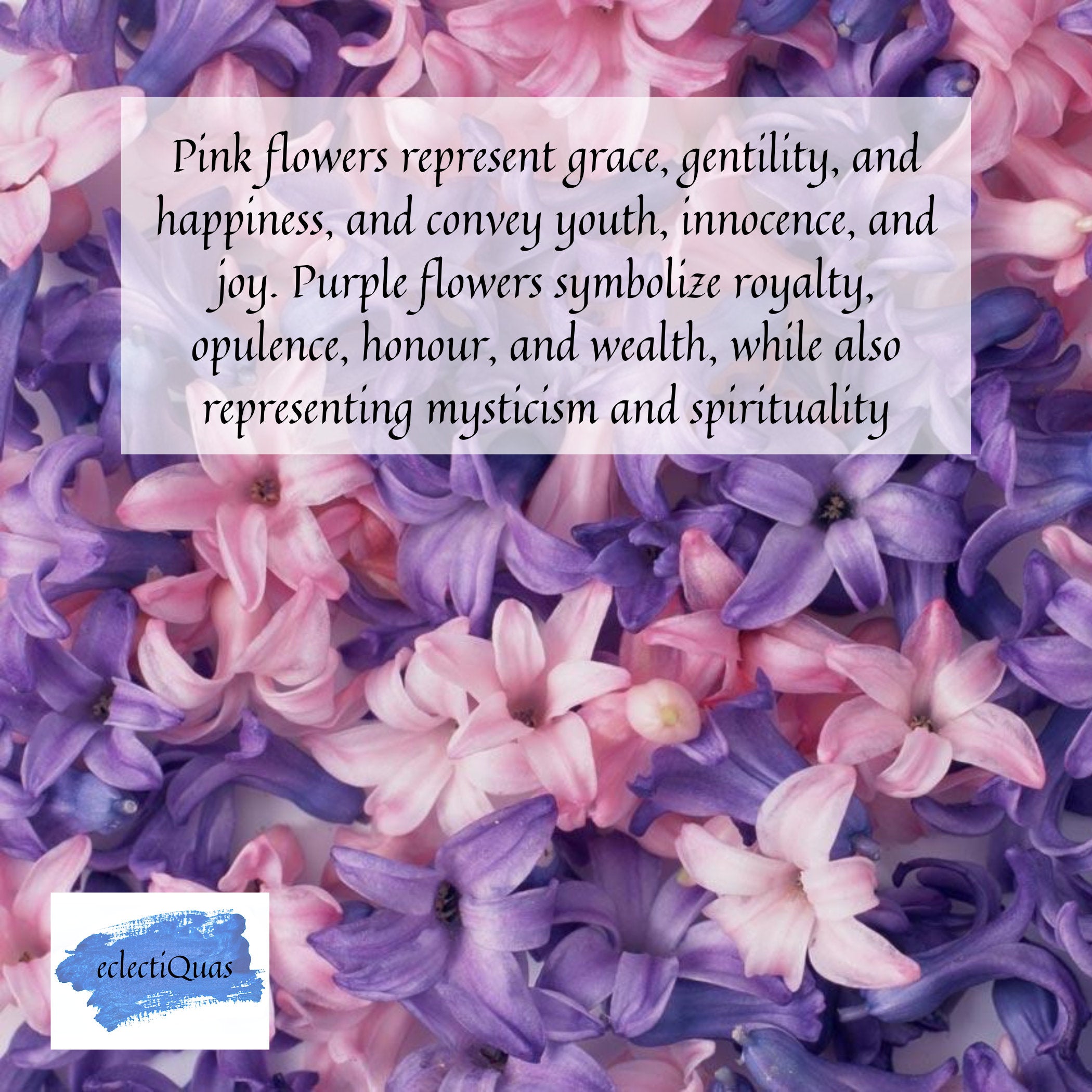 Photo of pink and purple flowers, and text that reads: Pink flowers represent grace, gentility, and happiness, and convey youth, innocence, and joy. Purple flowers symbolize royalty, opulence, honor, and wealth, while also representing mysticism and spirituality.