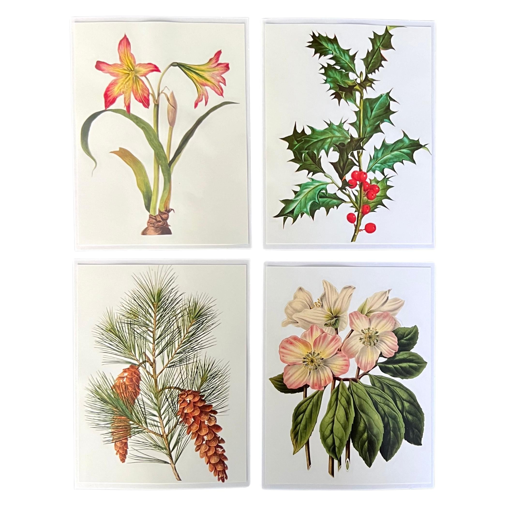 Boxed Christmas Cards of 10 Vintage Floral Botanical Illustration Greeting Cards, Blank Holiday Notecard Set with Holly Amaryllis Poinsettia