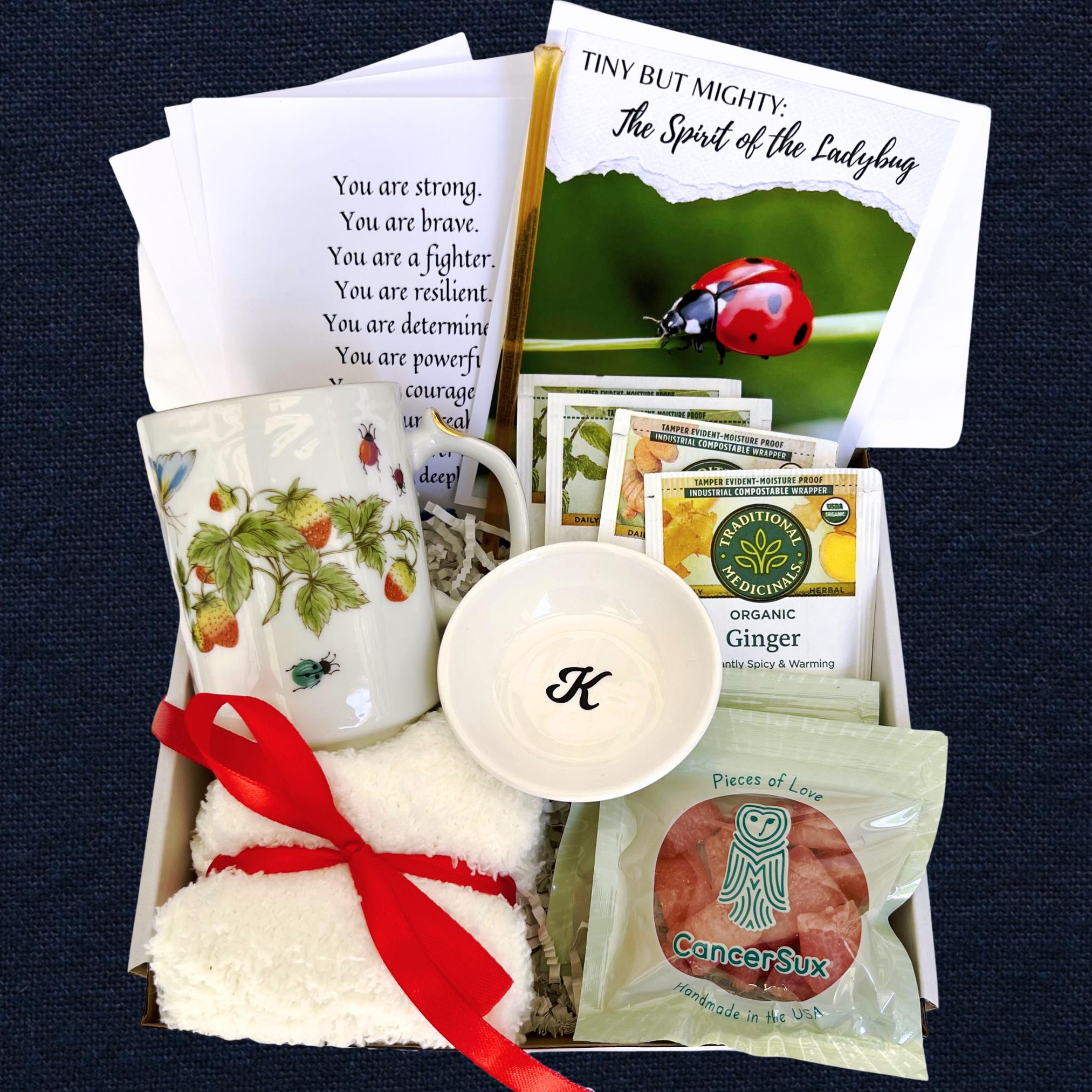 Chemo Care Package for Her, Thinking of You Cancer Gift Box, Sending a Hug in a Box, Thoughtful Cozy Get Well Soon Gift Basket for Women