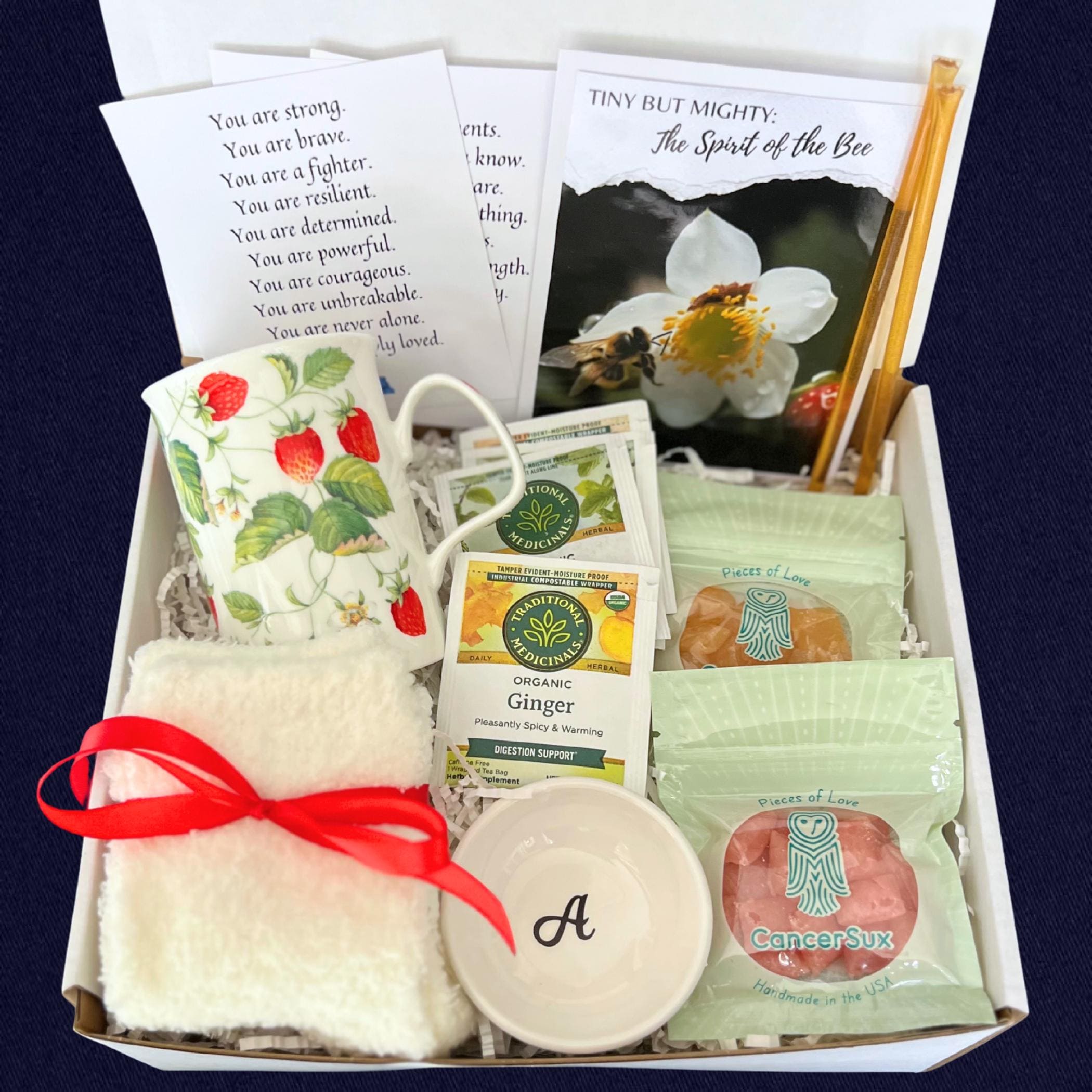 Chemo Care Package for Her, Thinking of You Cancer Gift Box, Sending a Hug in a Box, Thoughtful Cozy Get Well Soon Gift Basket for Women