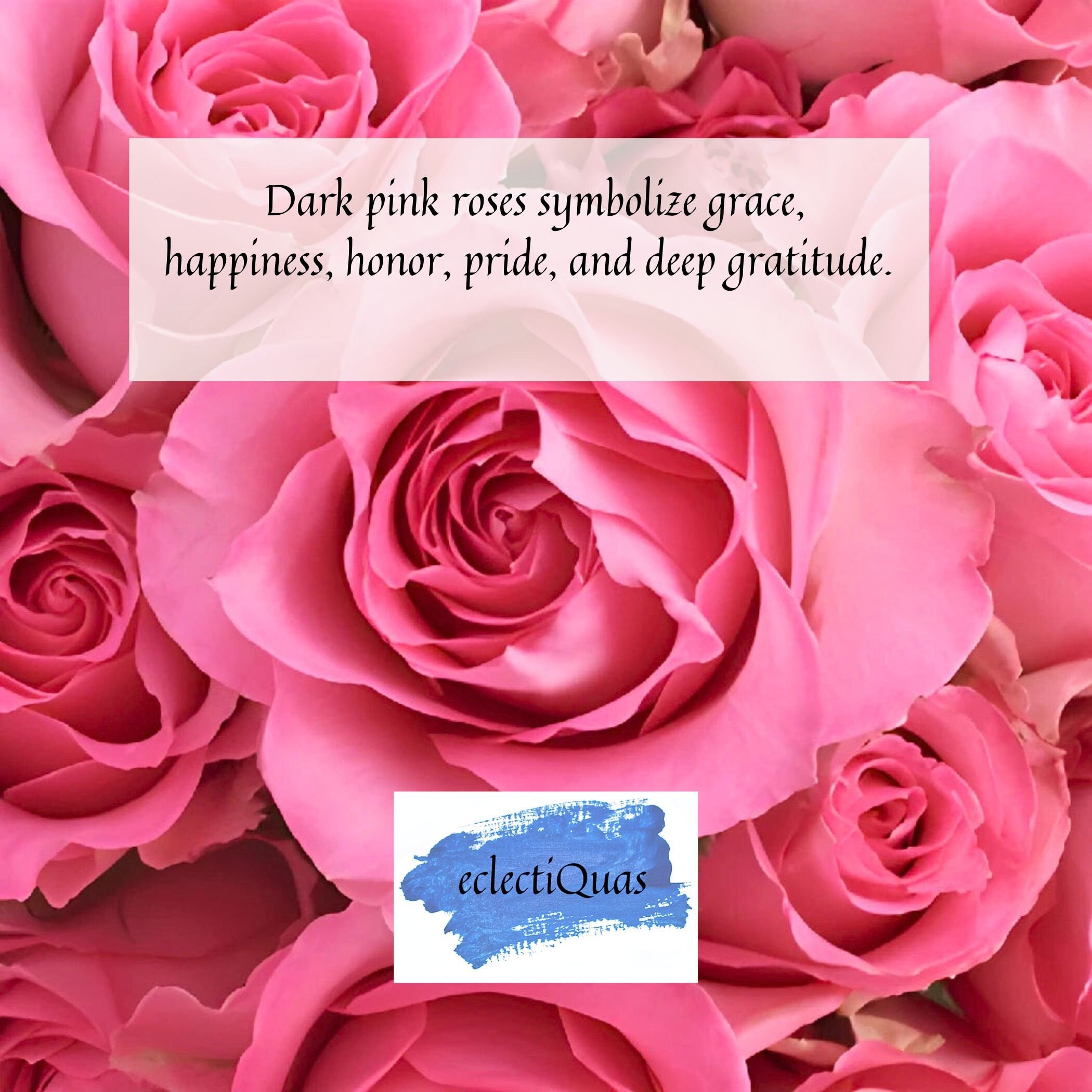 Photo of dark pink roses, and text that reads: Dark pink roses symbolize grace, happiness, honor, pride, and deep gratitude.