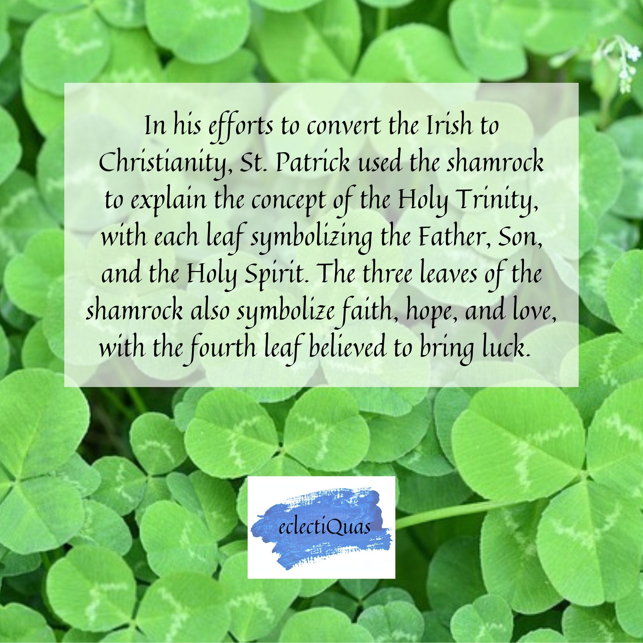 Text reads: In his efforts to convert the Irish to Christianity, St. Patrick used the shamrock to explain the concept of the Holy Trinity, with each leaf symbolizing the Father, Son, and the Holy Spirit. The three leaves of the shamrock also symbolize faith, hope, and love, with the fourth leaf believed to bring luck. 