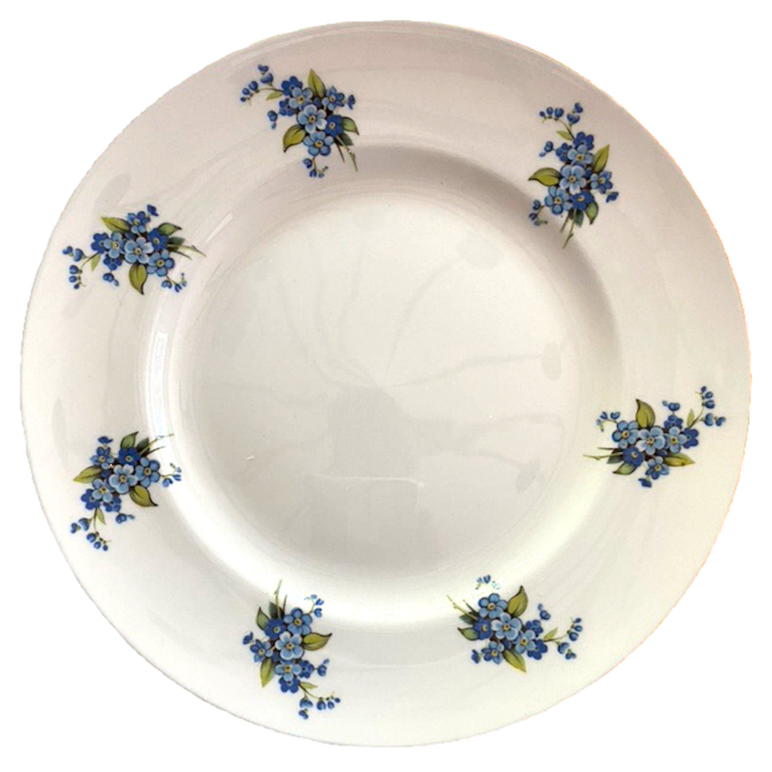 Staffordshire Majestic Choice Forget Me Not China Plate from which the china pieces of this Forget Me Not broken china earrings originate.