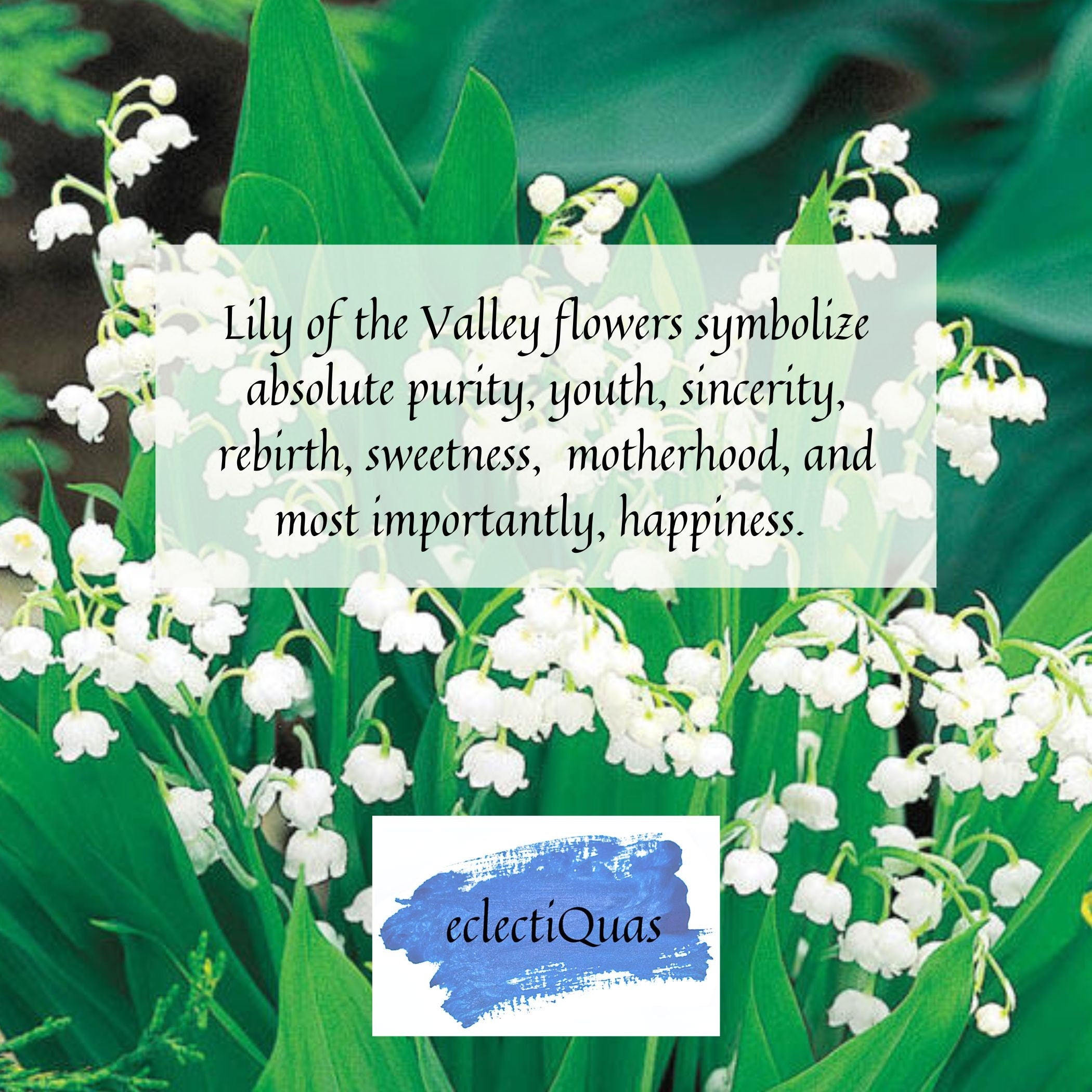 Text: Lily of the Valley flowers symbolize sincerity, rebirth, sweetness, motherhood, and most importantly, happiness.