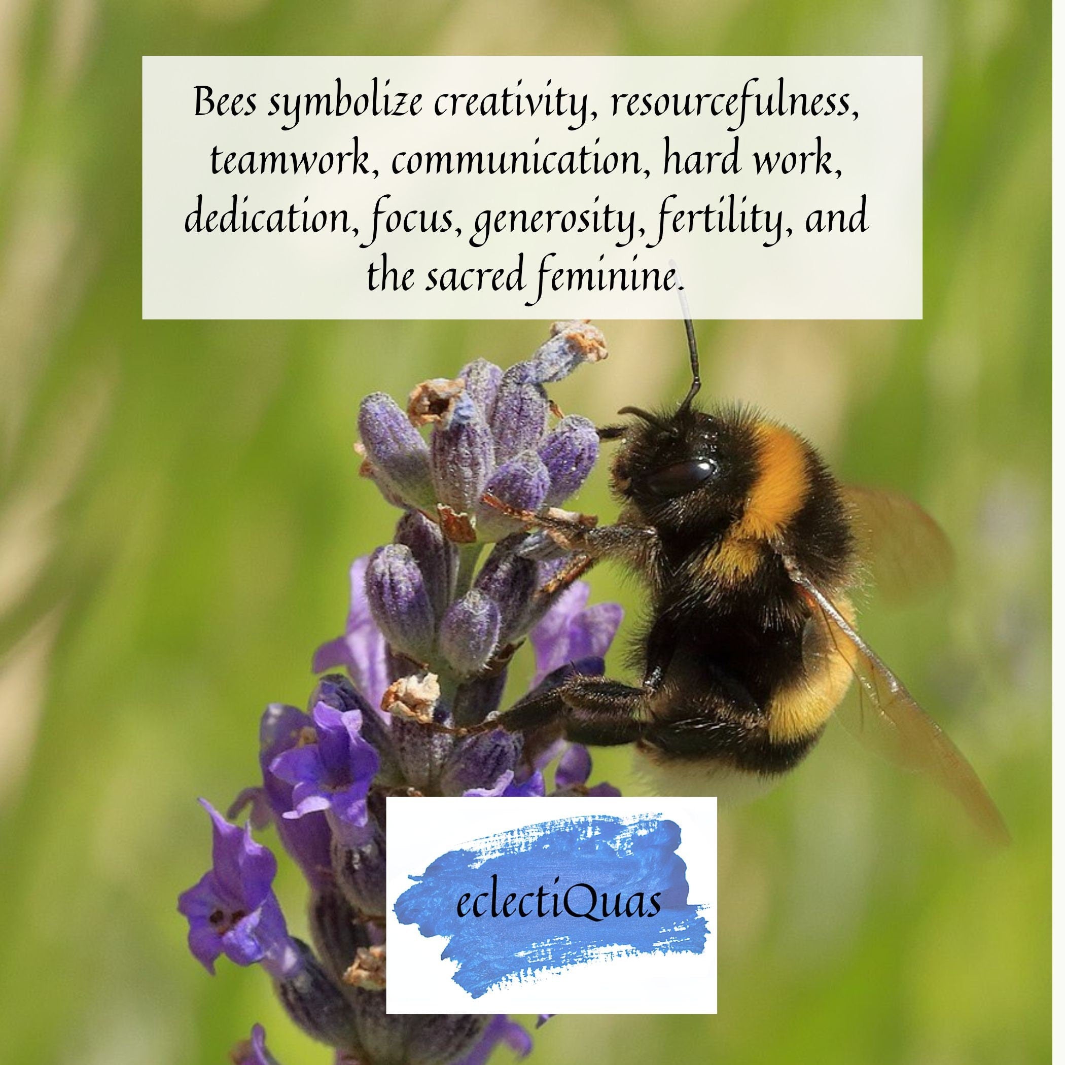 Text reads: Bees symbolize creativity, resourcefulness, teamwork, communication, hard work, dedication, focus, generosity, fertility, and the sacred feminine.