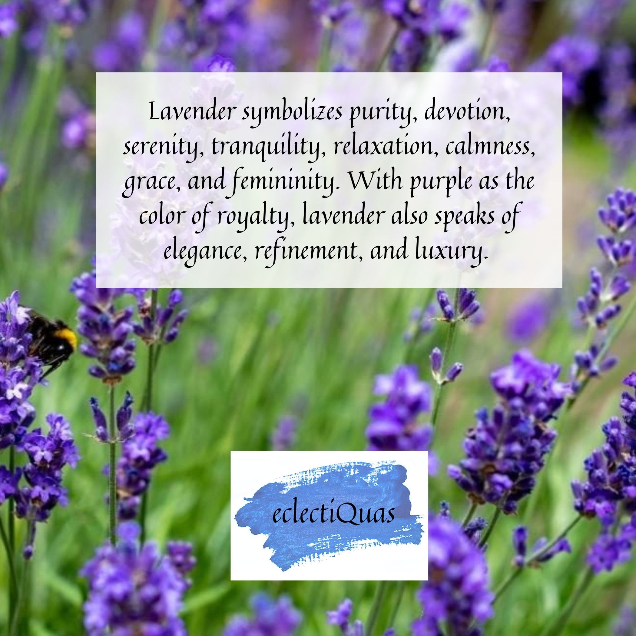 Text reads: Lavender symbolizes purity, devotion, serenity, tranquility, relaxation, calmness, grace, and femininity. With purple as the color of royalty, lavender also speaks of elegance, refinement, and luxury.