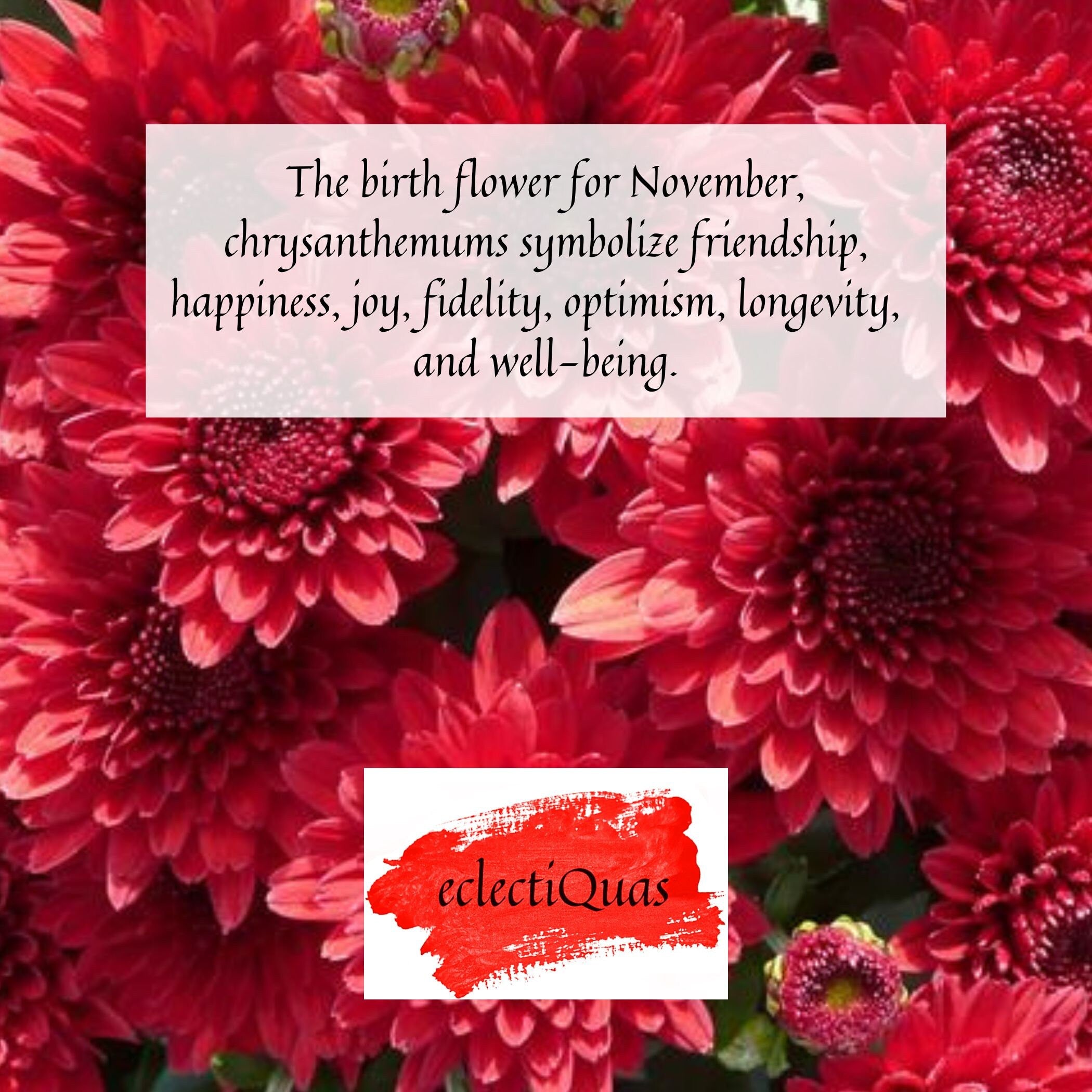 Text reads: The birth flower for November, chrysanthemums symbolize friendship, happiness, joy, fidelity, optimism, longevity, and well-being.