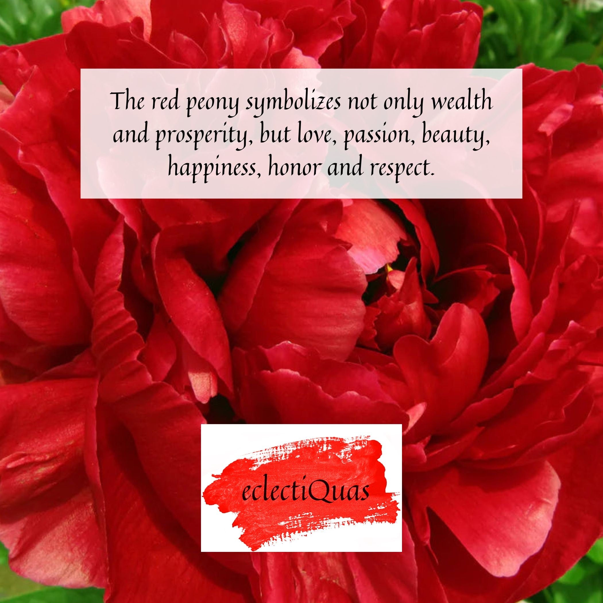 Text reads: The red peony symbolizes not only wealth and prosperity, but love, passion, beauty, happiness, honor and respect.