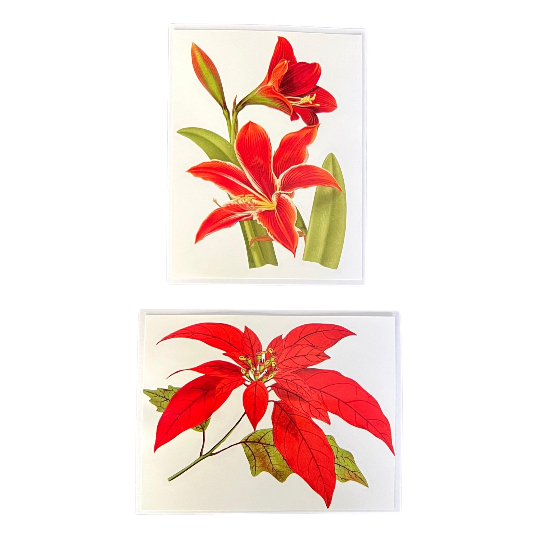 Boxed Christmas Cards of 10 Vintage Floral Botanical Illustration Greeting Cards, Blank Holiday Notecard Set with Holly Amaryllis Poinsettia