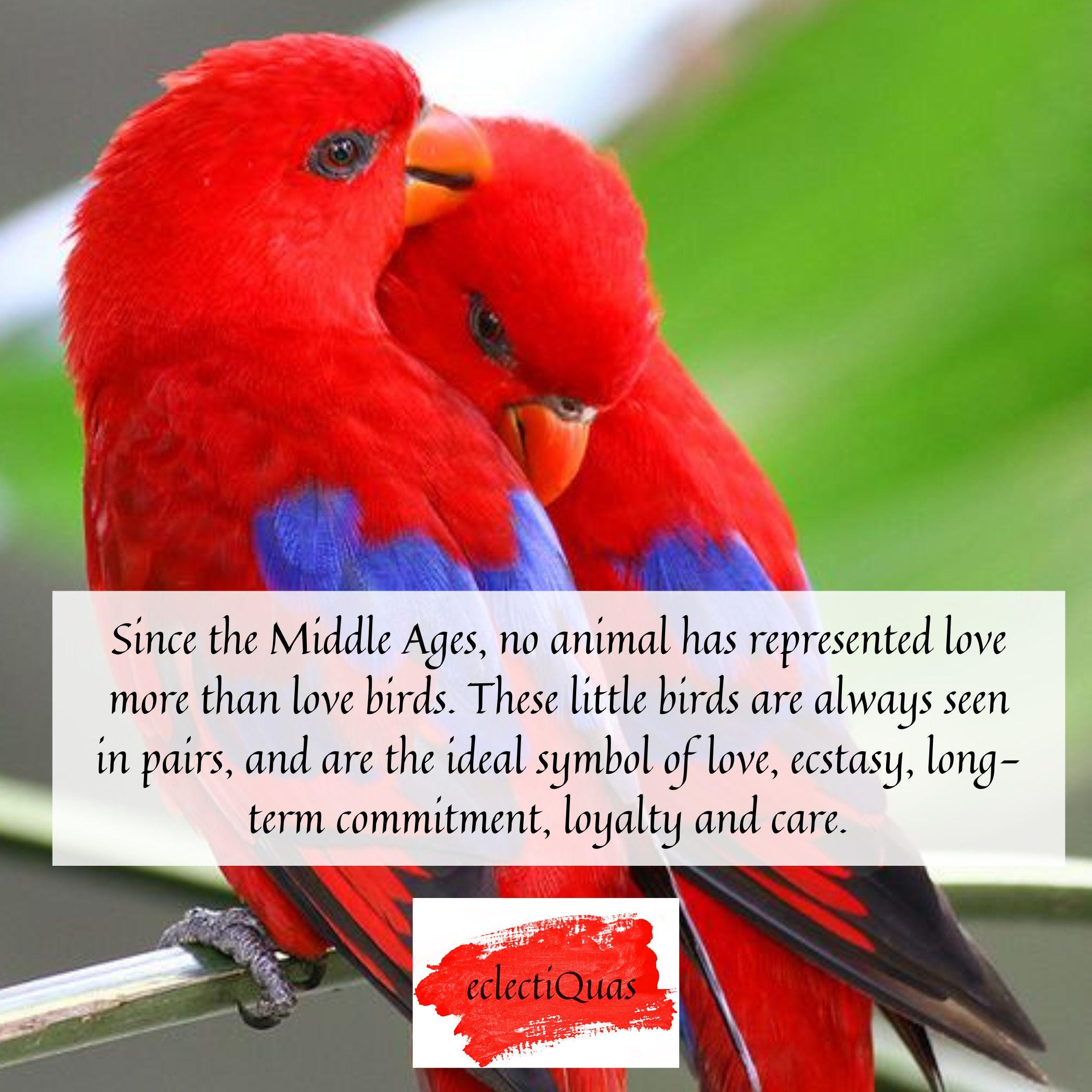 Romantic Valentines Day Love Birds Necklace upcycled with Red Willow China & Sterling Silver, Thoughtful Vintage China Jewelry Gift for Her