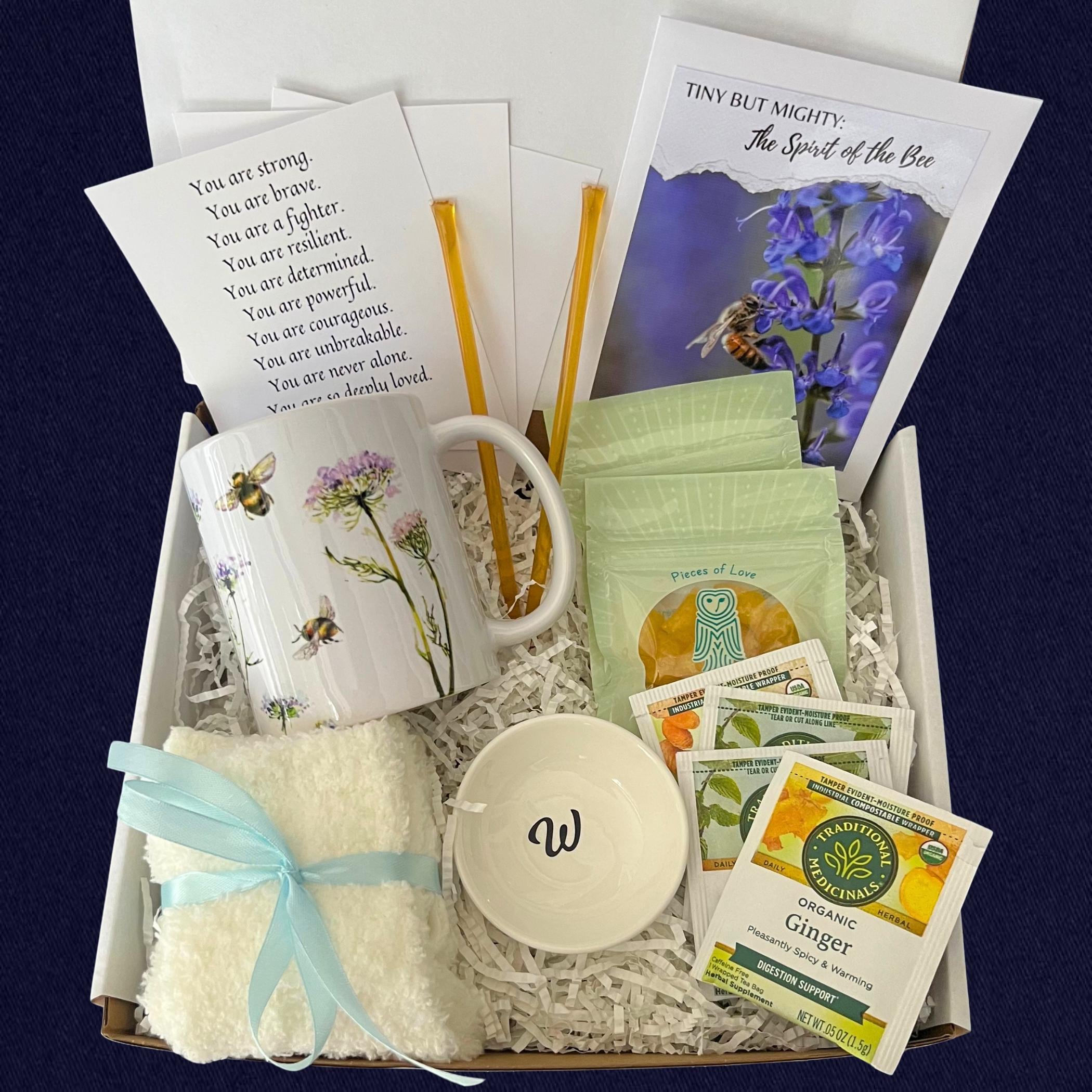 Chemo Care Package for Her, Thinking of You Cancer Gift Box, Sending a Hug in a Box, Thoughtful Cozy Get Well Soon Gift Basket for Women