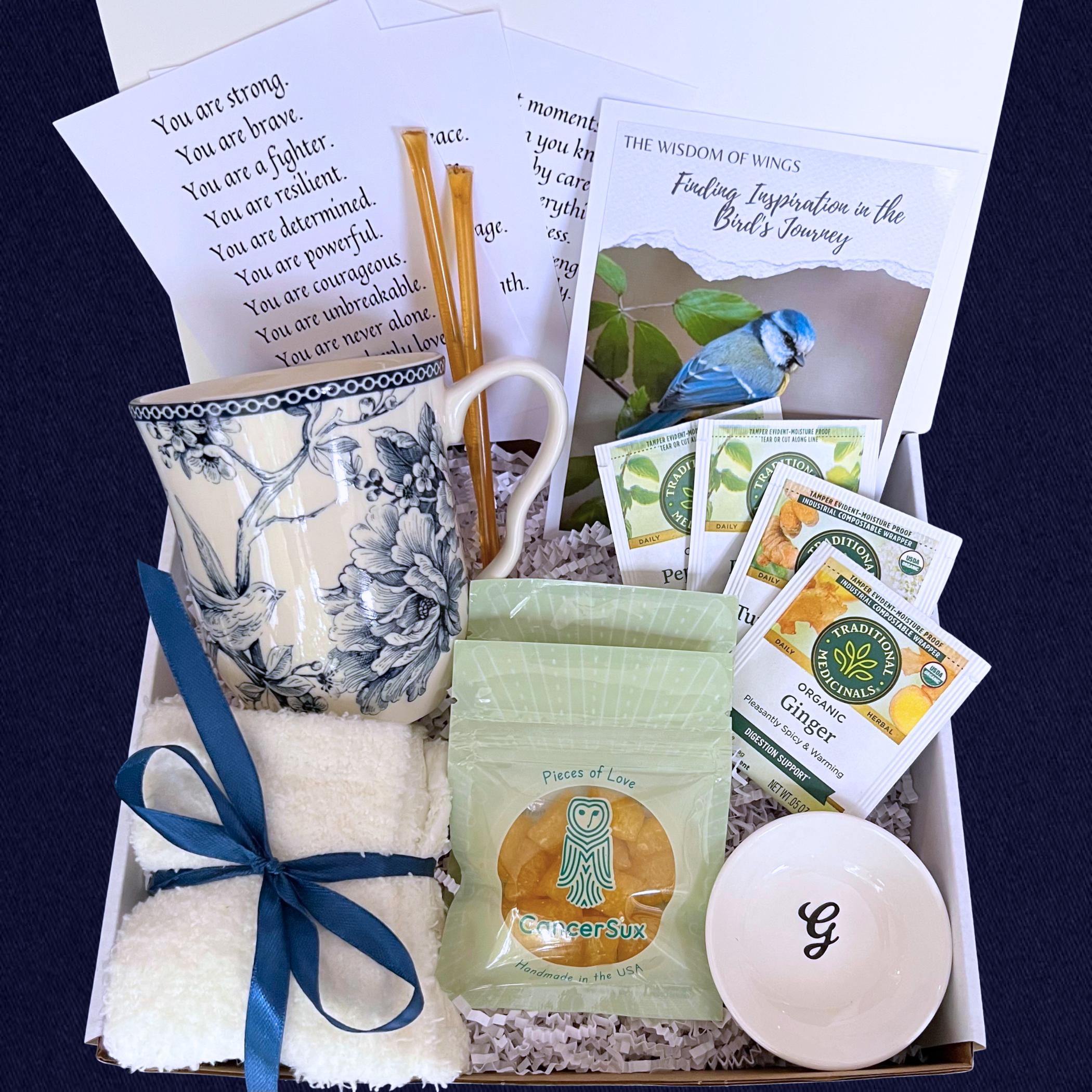 Chemo Care Package for Her, Thinking of You Cancer Gift Box, Sending a Hug in a Box, Thoughtful Cozy Get Well Soon Gift Basket for Women