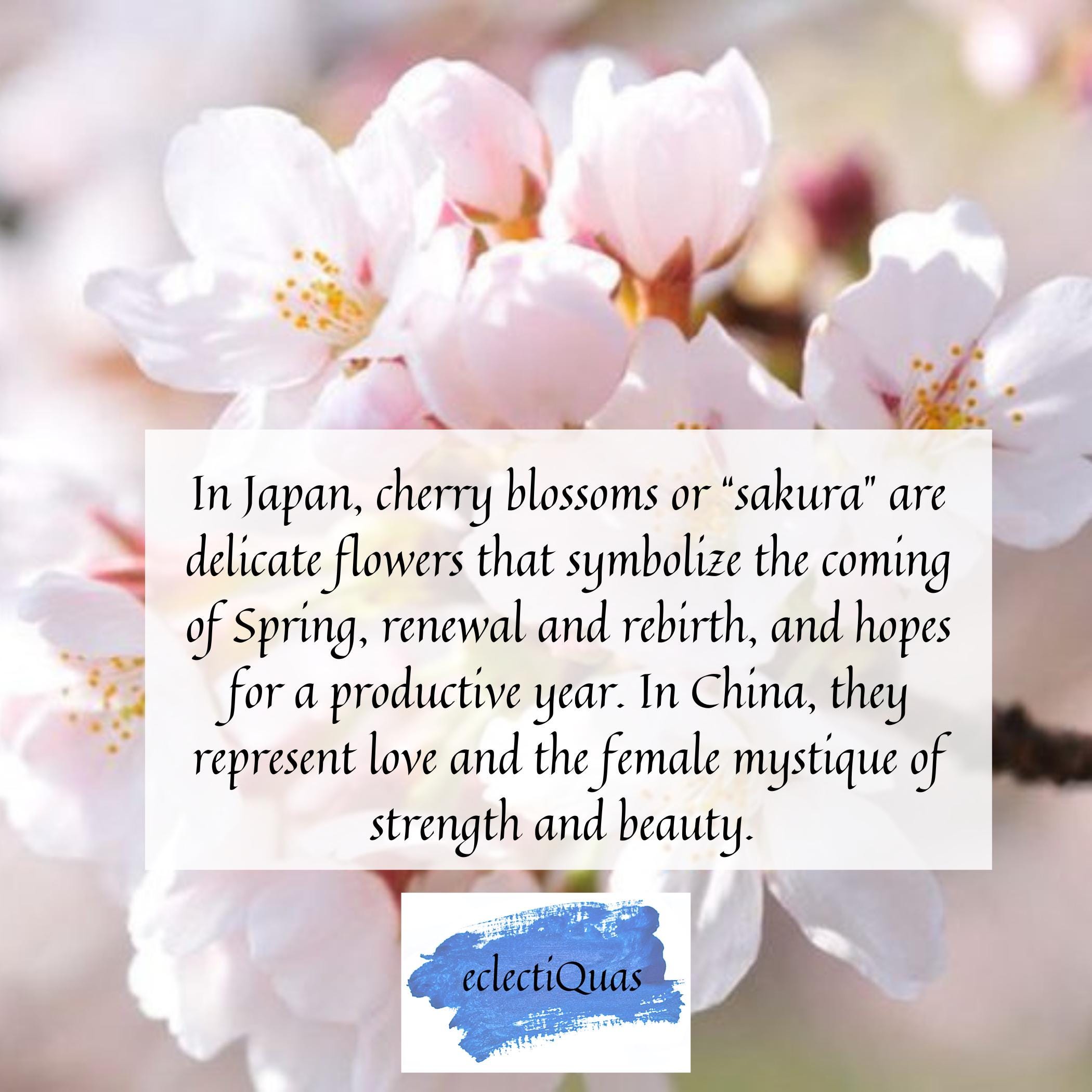 Spring Cherry Blossom Necklace and China Earrings handmade with French Limoges Porcelain & Sterling Silver, Vintage China Jewelry Gift