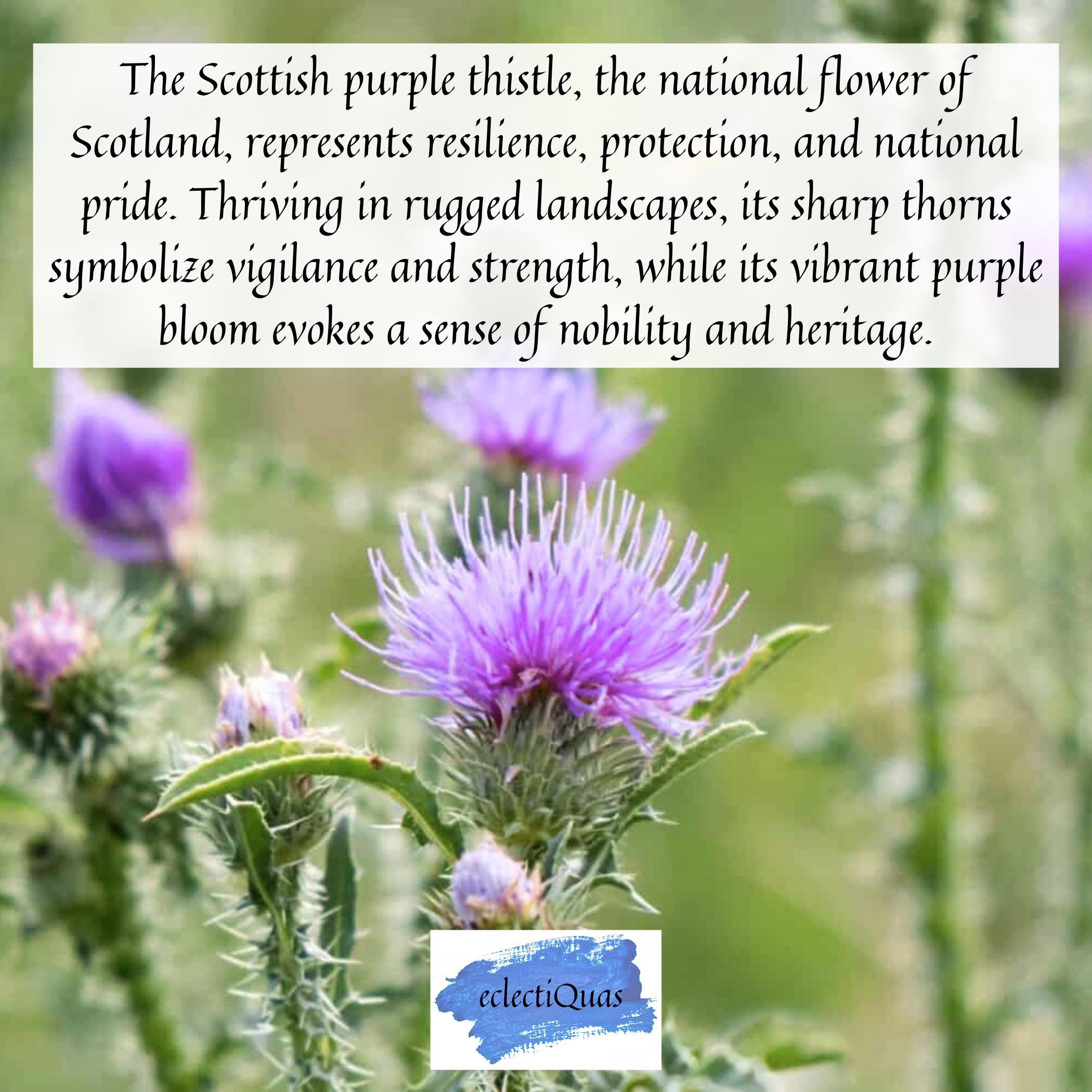 Scottish Thistle Necklace handmade from Upcycled China & Sterling Silver, Purple Flower China Jewelry Gift Idea for St Andrews Day Birthday