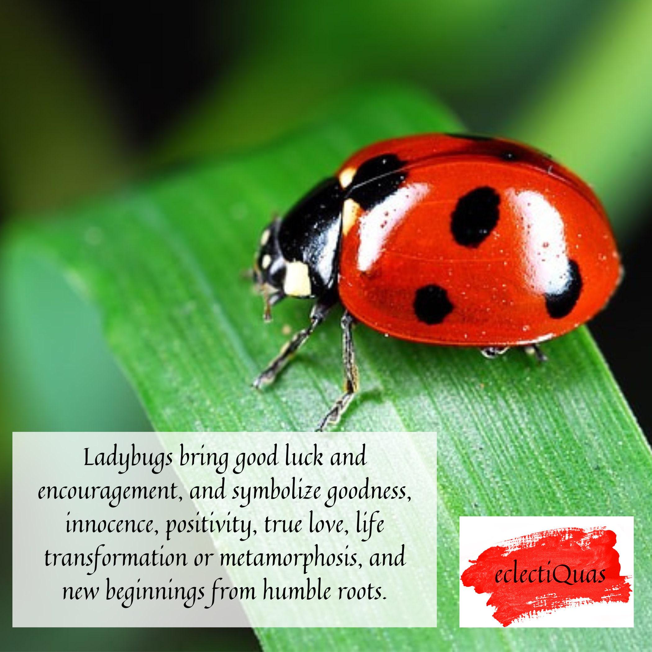Ladybug Pendant China Necklaces handmade with Upcycled China & Sterling Silver, Dainty Porcelain Jewelry Gift for Garden Lover and Gardeners