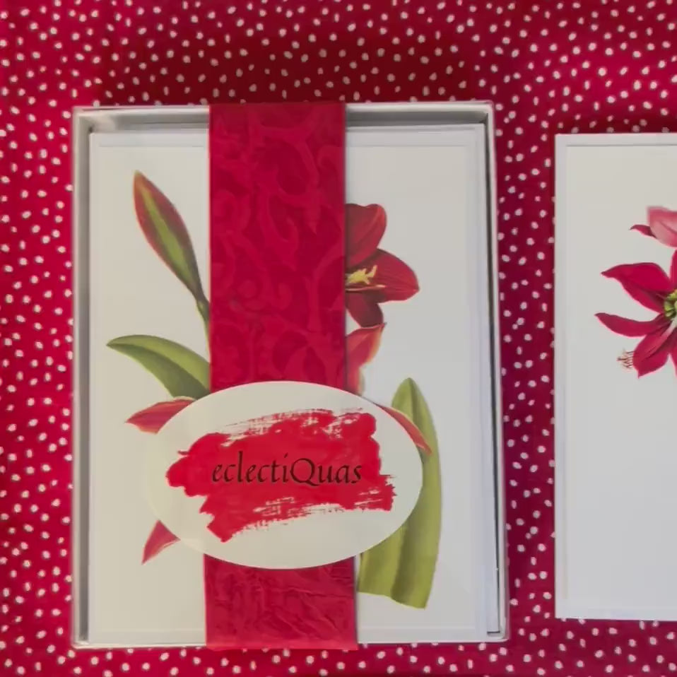 Boxed Christmas Cards of 10 Vintage Floral Botanical Illustration Greeting Cards