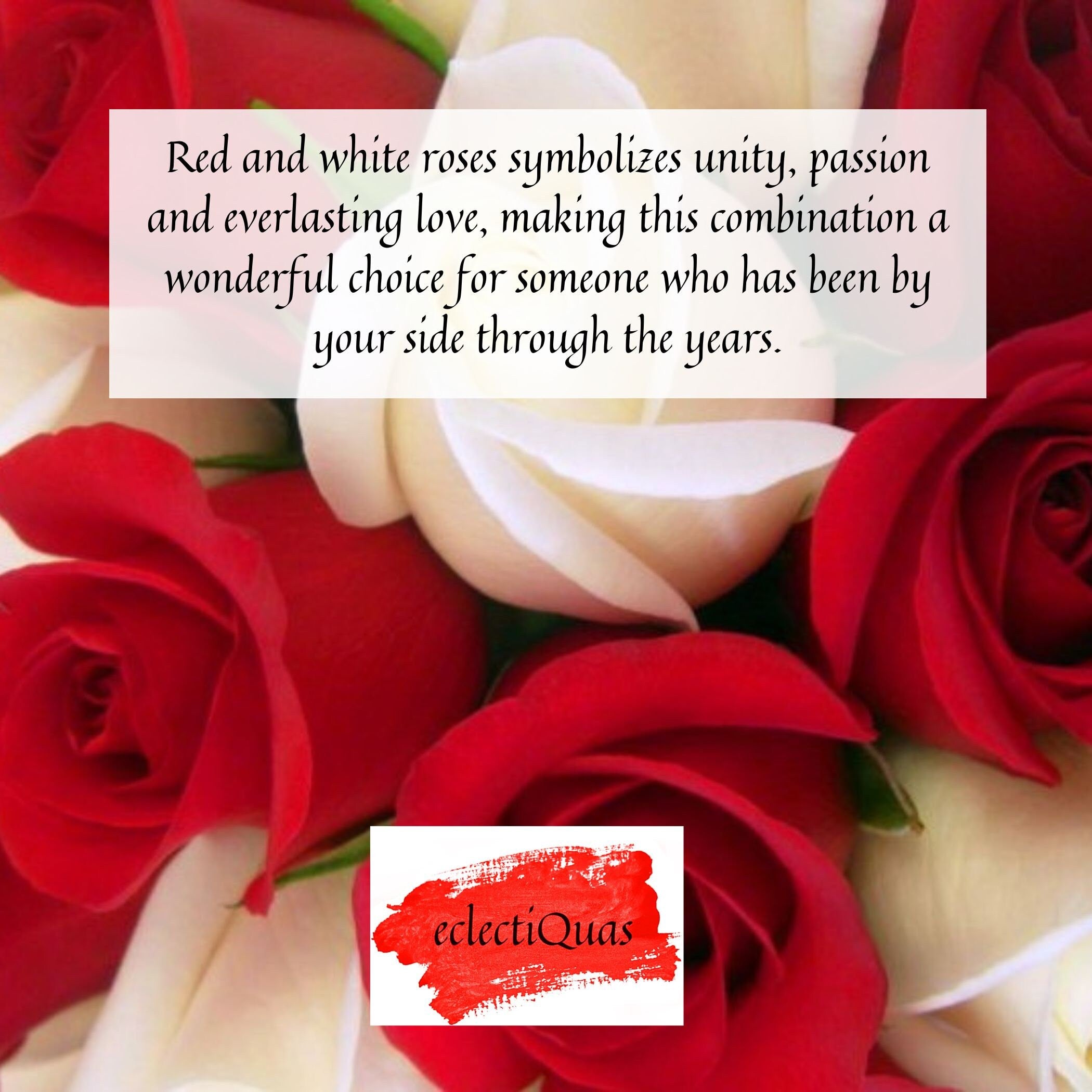 Photo of red and white roses, and text that reads: Red and white roses symbolize unity, passion, and everlasting love, making this combination a wonderful choice for someone who has been by your side through the years.