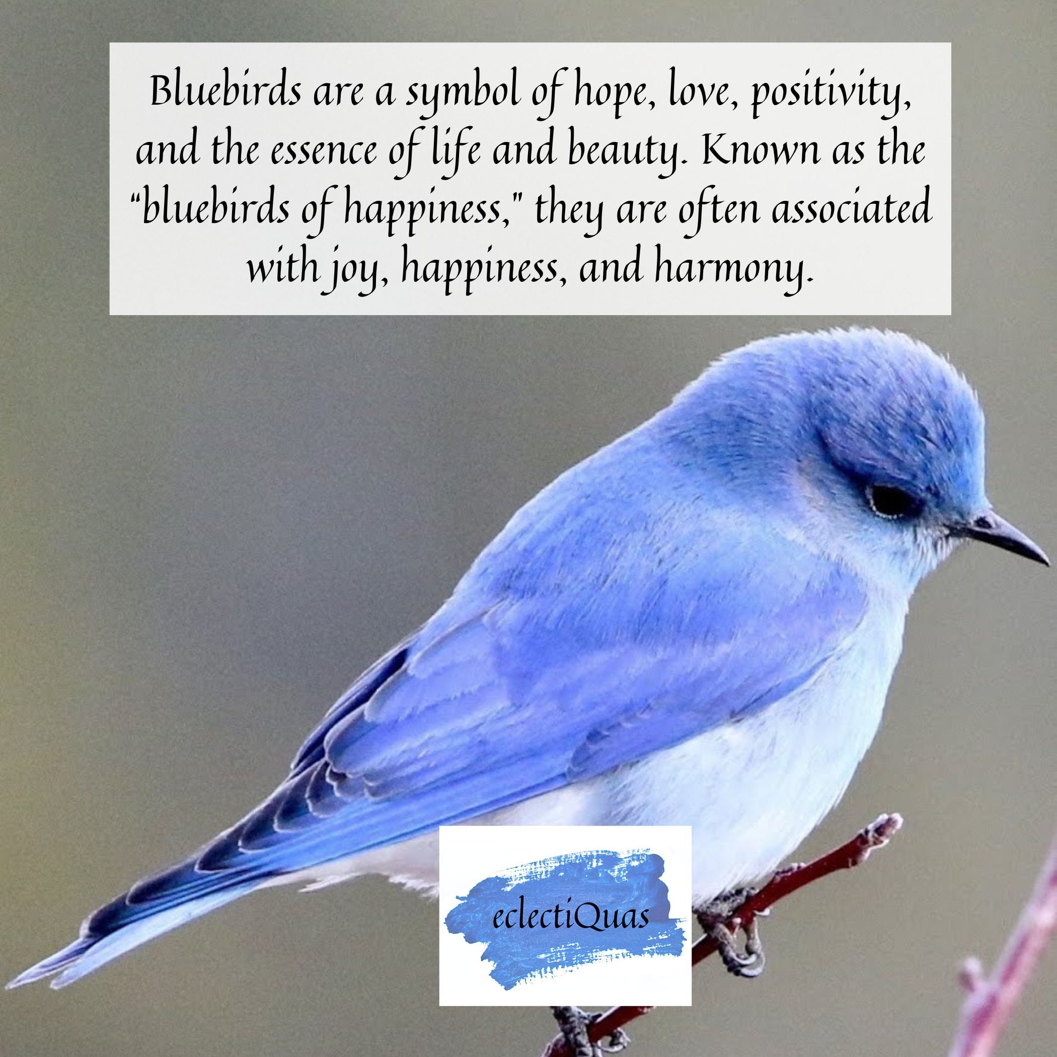 Tiny Blue Bird China Necklace with Repurposed China, One of a Kind Broken China Jewelry for a New Job Gift